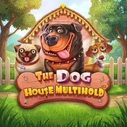 The Dog House Multihold game at Davinci Gold Casino for United Kingdom players